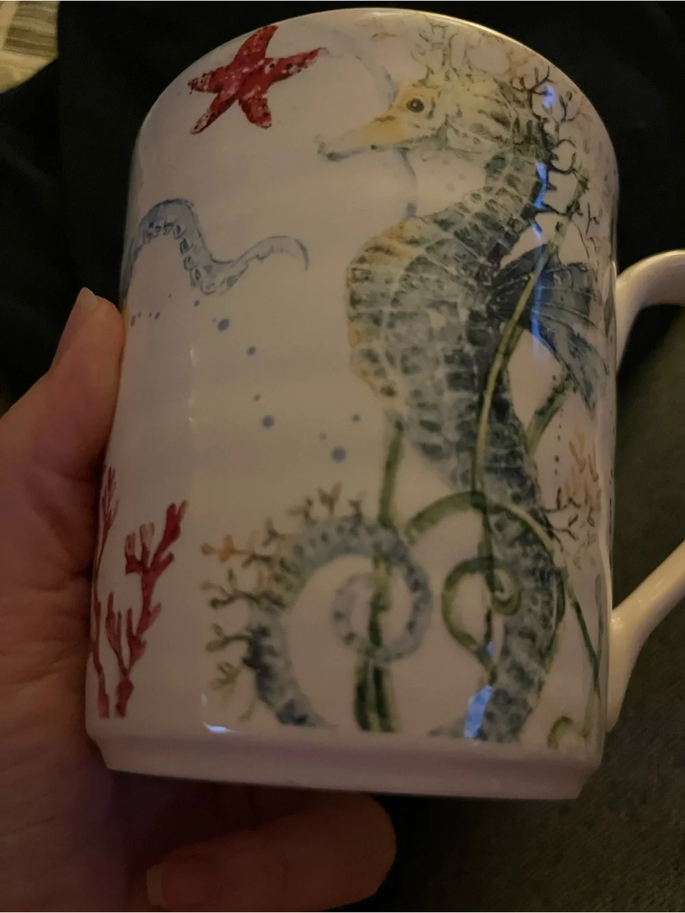 Pier 1 Ironstone Sea Life oversized mug